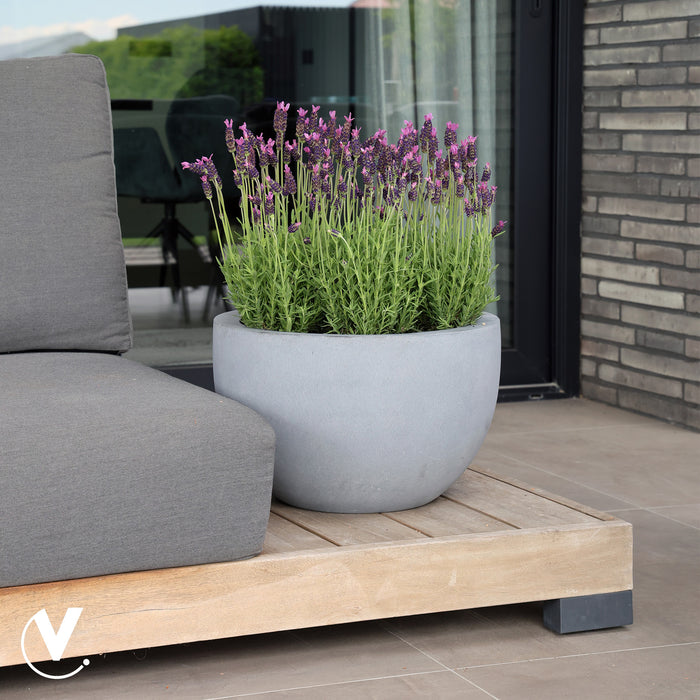 5cdf7ab5-faf1-40d7-a468-e8a2e15dff59-sfeerbeeld.jpg (10272289) 