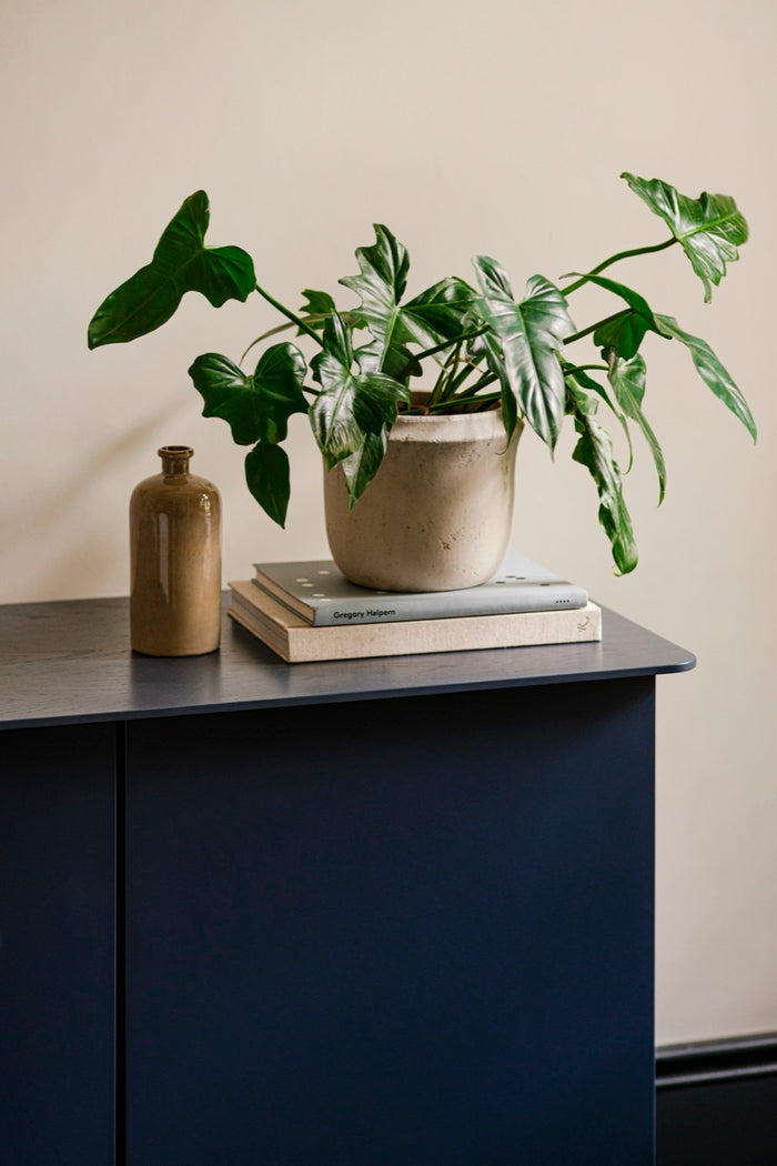 e91f8397-d58c-4fa7-994f-9a1ca326e41e-afbeelding3.jpg (10288455) 