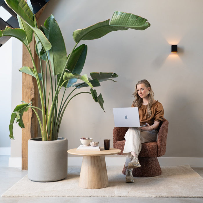 51e38edb-bae0-4b84-a99b-087a9b3ce714-afbeelding4.jpg (10296519) 