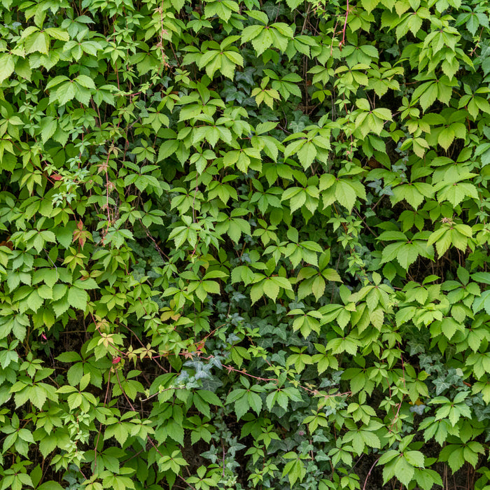 31a29f02-7a63-42b3-baa4-81febb744a19-sfeerbeeld.jpg (10311467) 