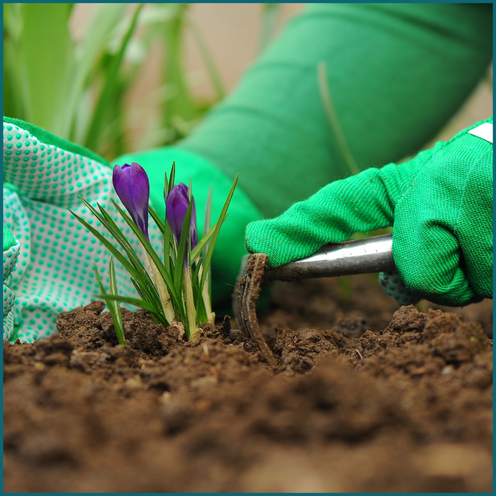 HIXA Tuinhandschoenen Dames Heren met Elastiek