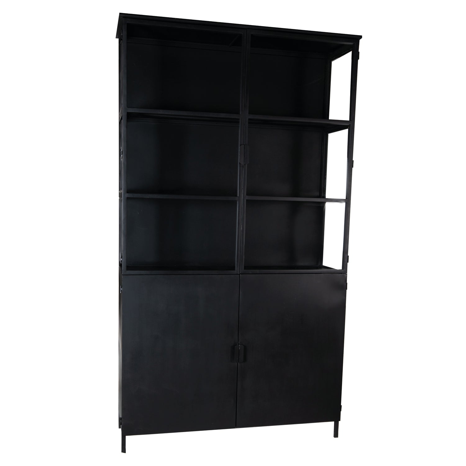PTMD Elina Glass cabinet black iron frame 2 doors