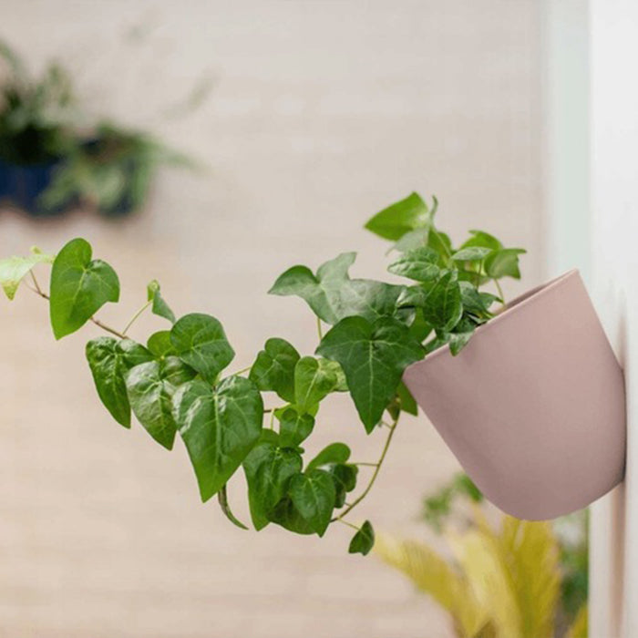 QUVIO Wand bloempot- Kunststof - Poederroze