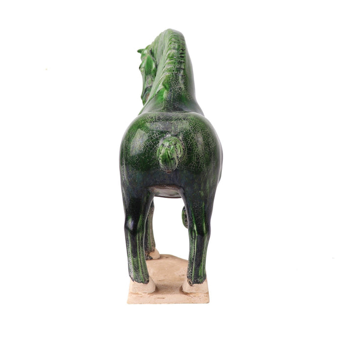 Fine Asianliving Chinees Paard Tang-Dynastie