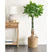 Beliani - PACHIRA TREE - Kunstplant - Groen - 120 cm - Kunststof