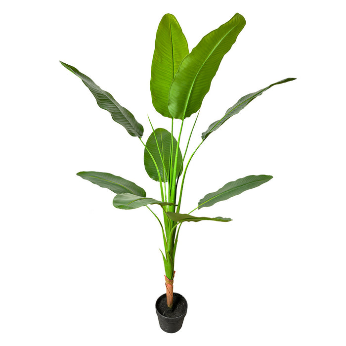Clayre & Eef Kunstplant 160 cm Groen Kunststof