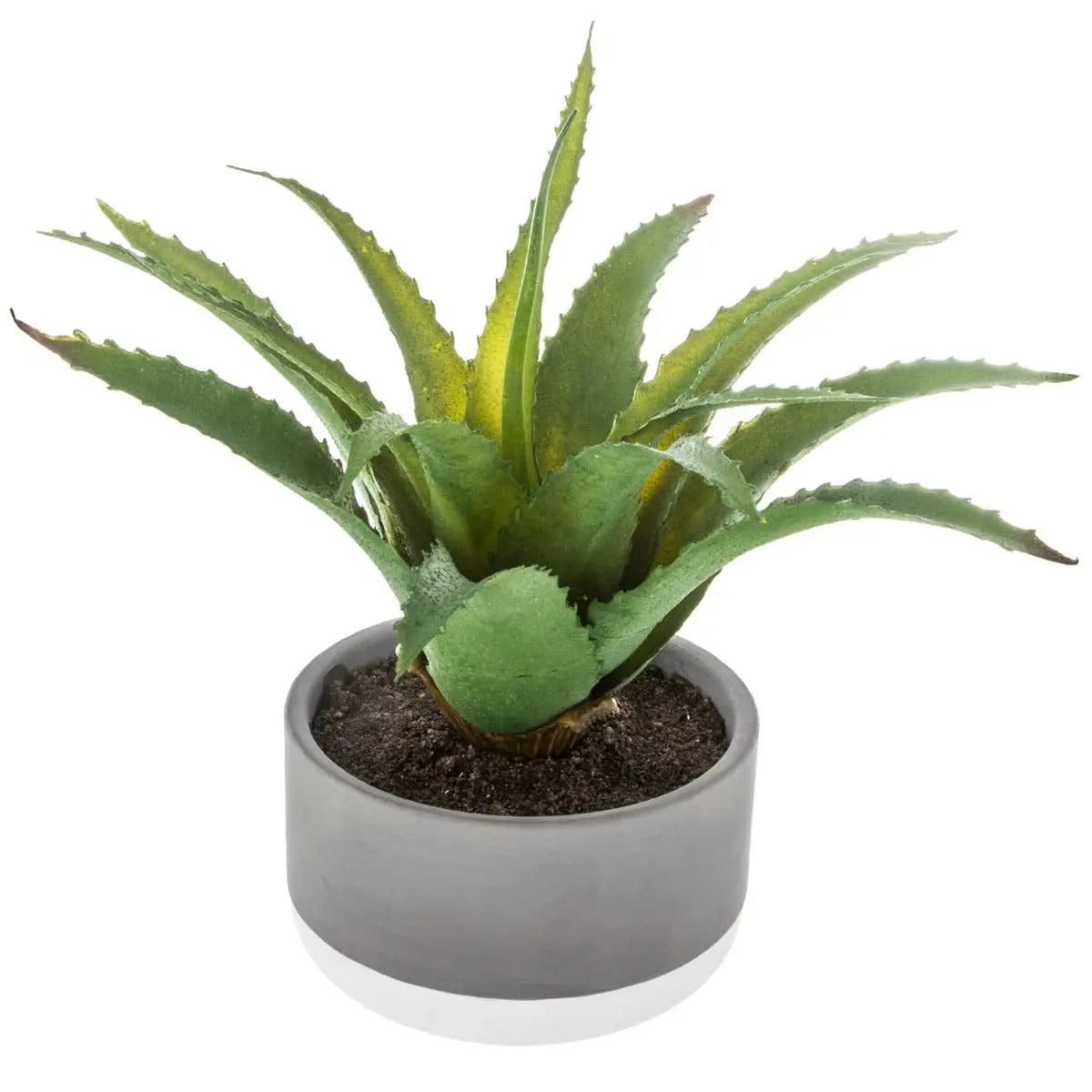 Atmosphera - vetplant kunstplant - in pot van cement - 22 cm