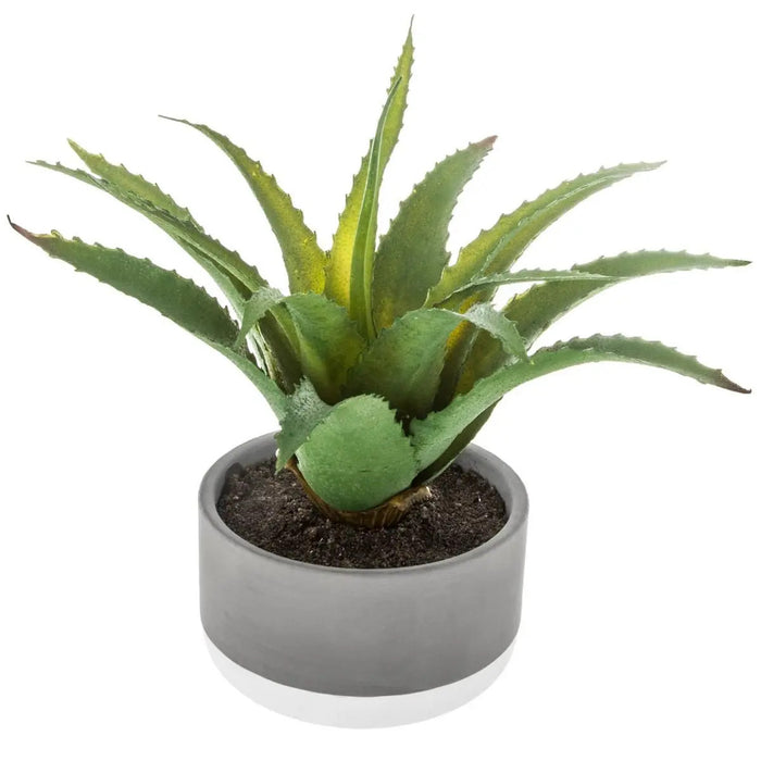 Atmosphera - vetplant kunstplant - in pot van cement - 22 cm
