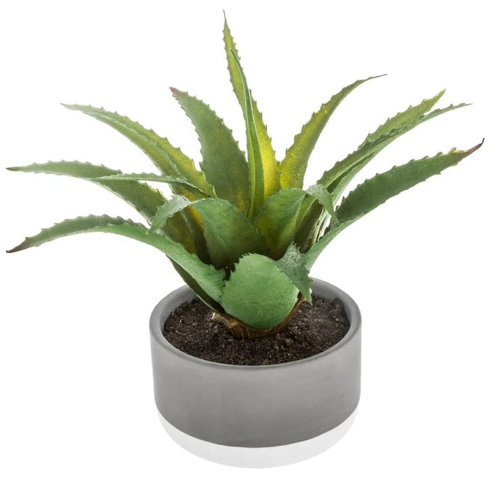 Atmosphera - vetplant kunstplant - in pot van cement - 22 cm