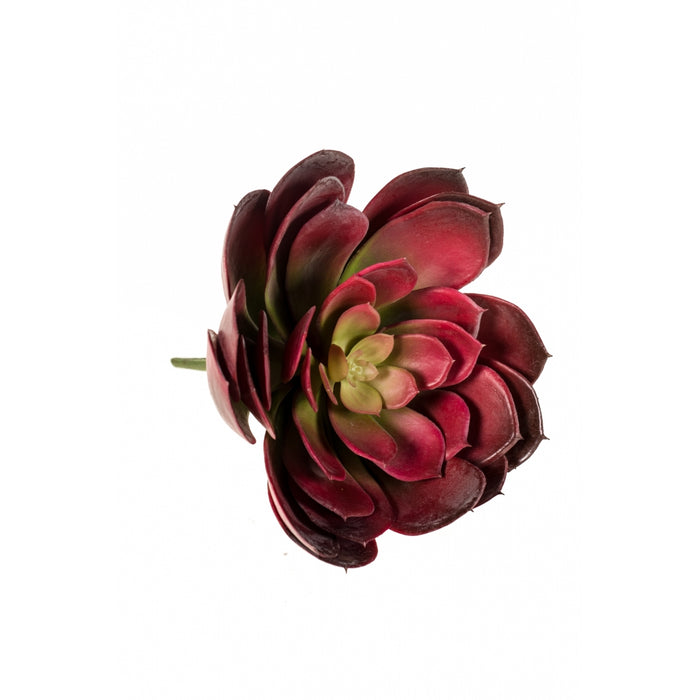 Fleurdirect Kunstplant Echeveria -  - Polyester - 0x20x0cm (BxHxD)