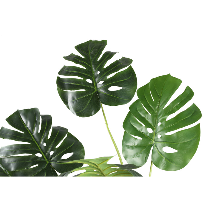 PTMD Tree Green Monstera In Black Pot