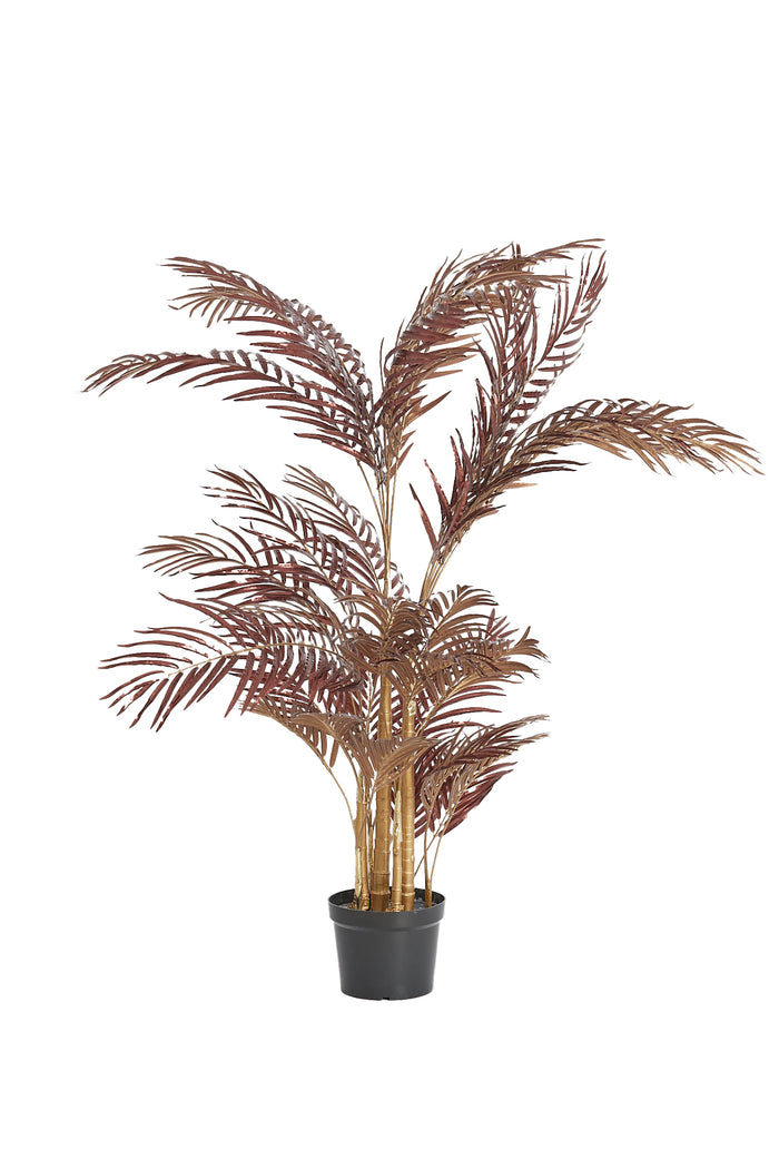 Light & Living - Pot PALM - 145x135x135cm - Rood