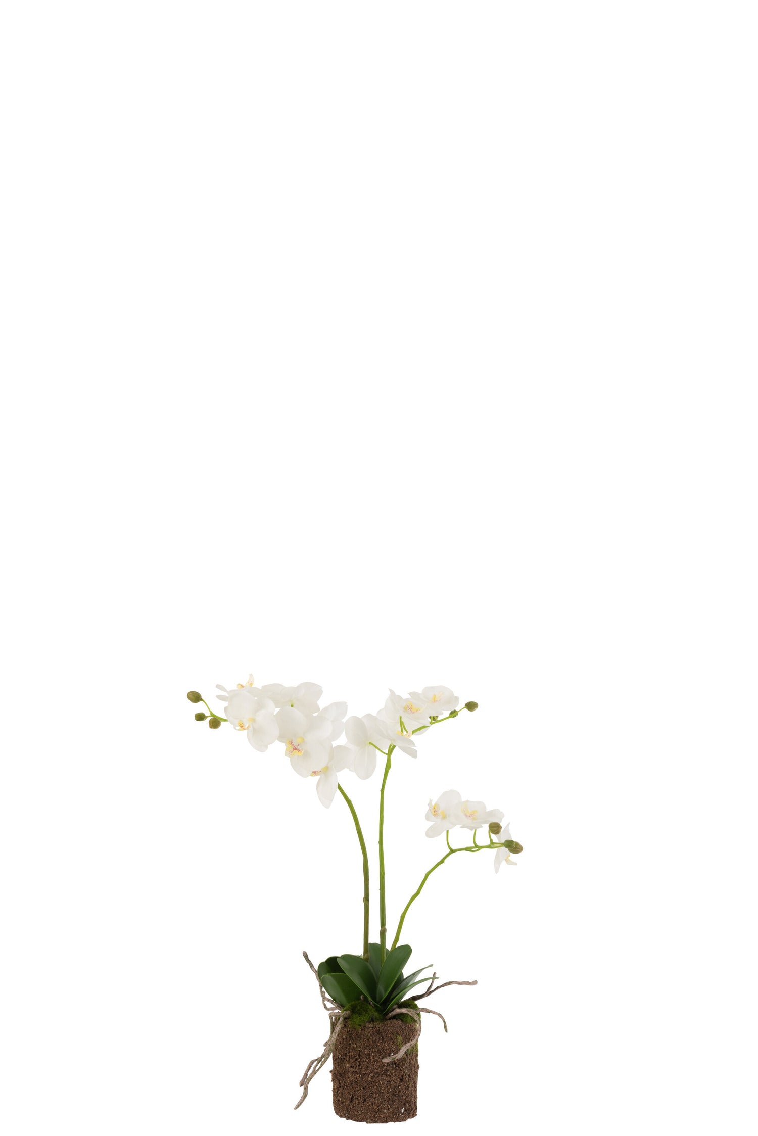 J-line - Orchidee In Aarde Plastiek Wit|groen Medium - 30x15x52cm