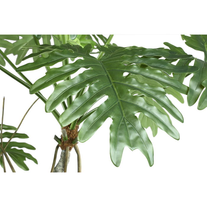 PTMD Tree Green Spring Rain Tree In Black Pot