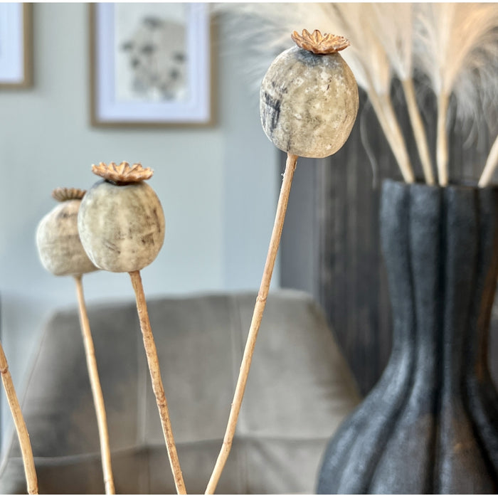 Fleurdirect Kunstbloem Papaver -  - Polyester - 0x75x0cm (BxHxD)