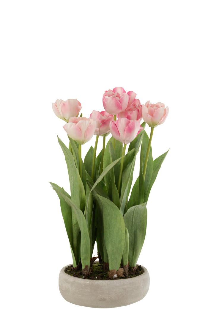 J-line - Tulpen In Pot Cement Grijs Plastiek Roze|groen - 34x31x49cm