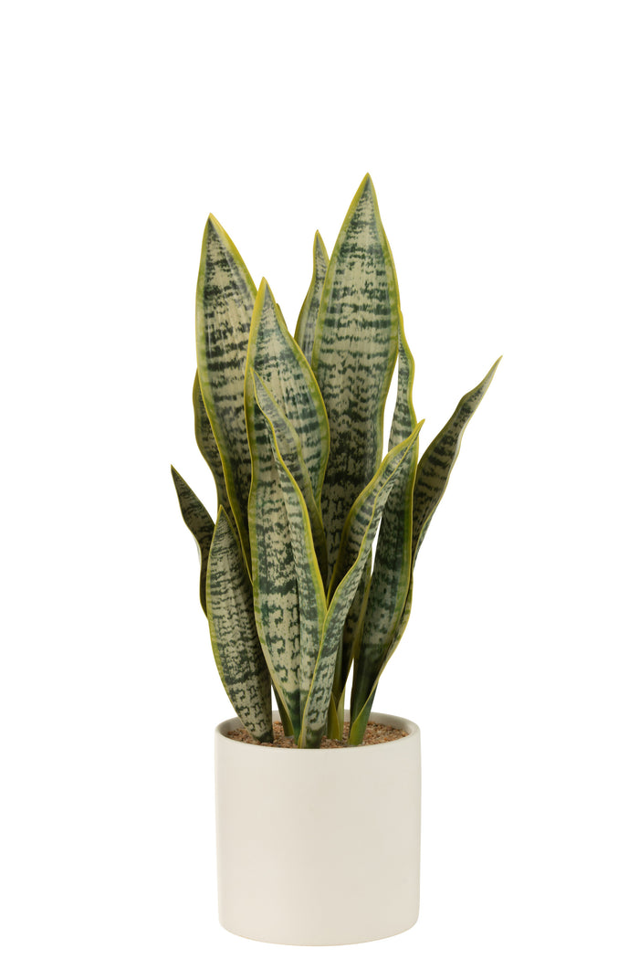 J-line - Plant Sansevieria In Pot Pvc Groen Large - 14x14x49cm