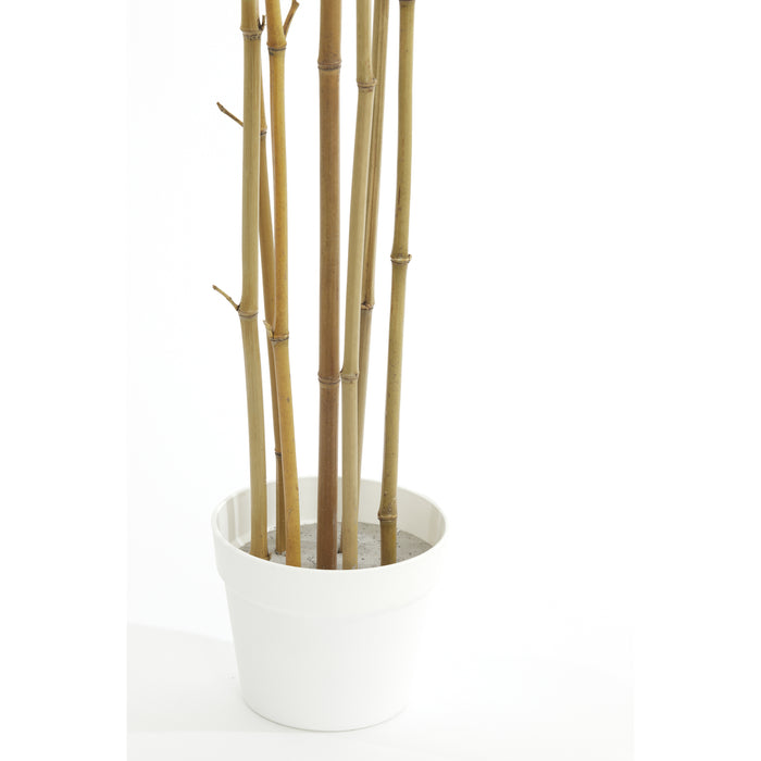 Light & Living - Pot BAMBOO - 70x60x180cm - Bruin