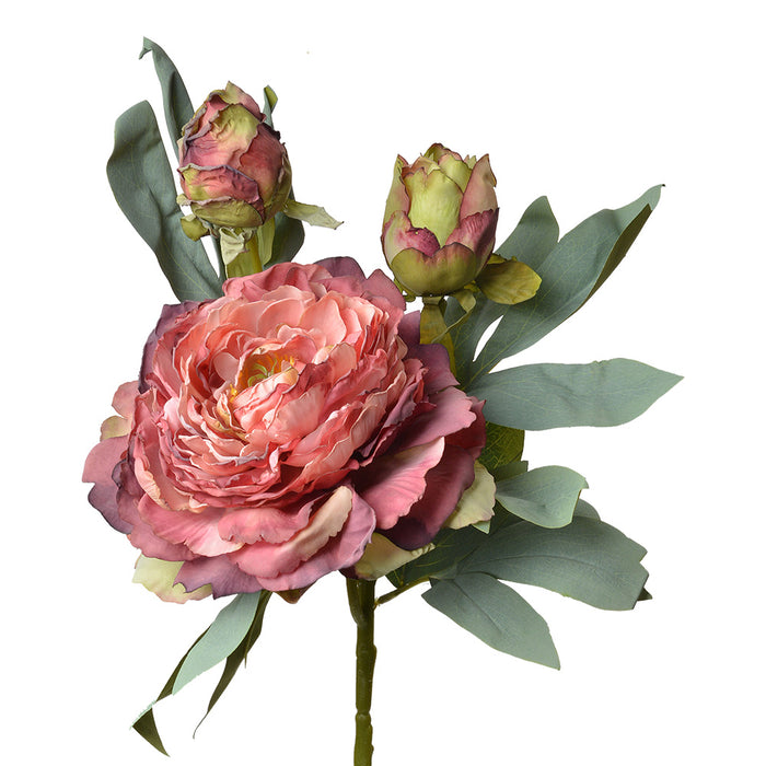 720d2268-699c-4ca3-86f0-8c7065c08e91-vrijstaandbeeld.jpg (10362708) 