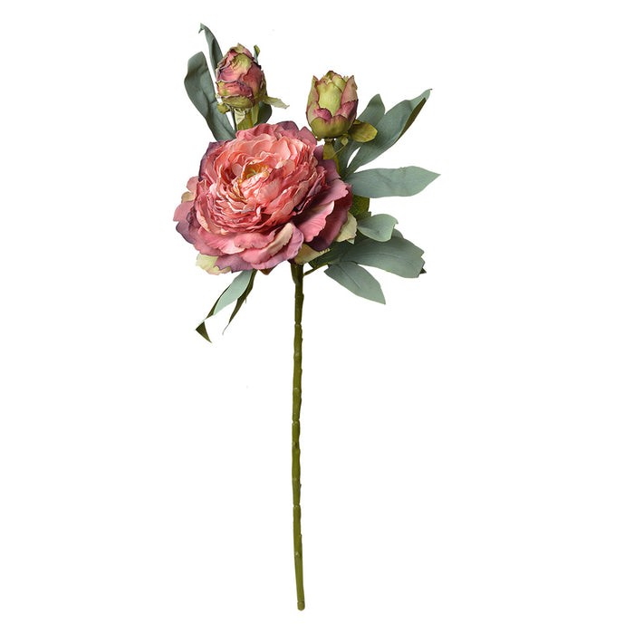 720d2268-699c-4ca3-86f0-8c7065c08e91-afbeelding10.jpg (10362712) 