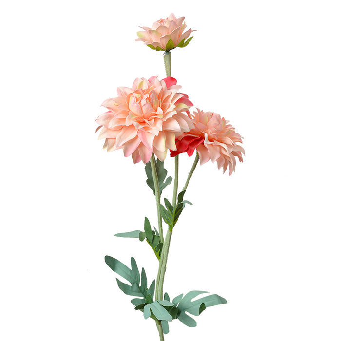 11737613-a4a0-480c-8c6c-1e8e0e302281-vrijstaandbeeld.jpg (10362794) 