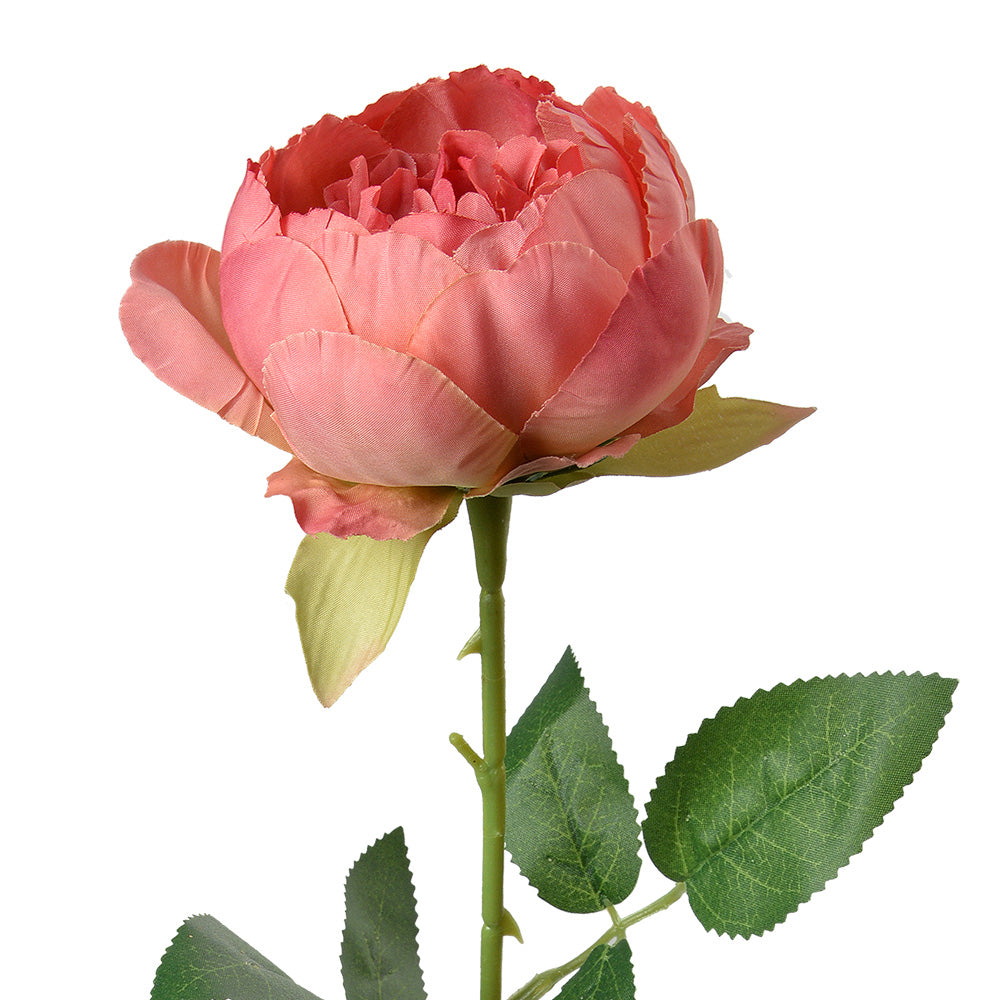 2e1fdae5-6299-442a-a30c-619a4b7d9352-vrijstaandbeeld.jpg (10362966) 