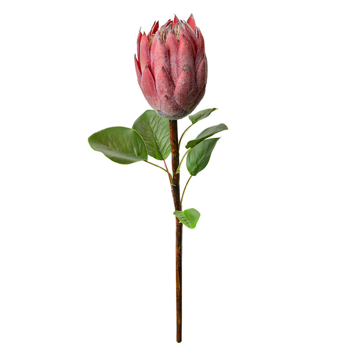 68deac48-8539-4408-879d-80575c3cf6c3-afbeelding10.jpg (10363061) 