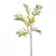 Fleurdirect Kunstbloem Mimosa - Geel - Polyester - 0x70x0cm (BxHxD)