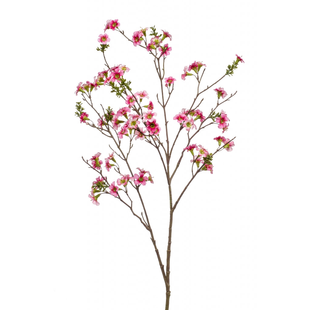 Fleurdirect Kunstbloem Leptospermum -  - Polyester - 0x105x0cm (BxHxD)