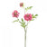 Fleurdirect Kunstbloem Scabiosa - Roze - Kunststof - 0x62x0cm (BxHxD)