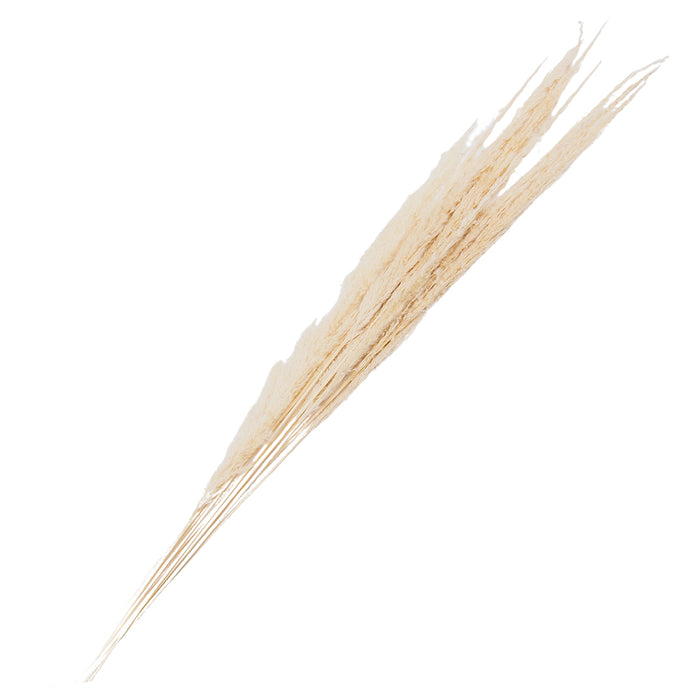 Clayre & Eef Droogbloemen  90 cm Wit Droogbloemen Droogboeket