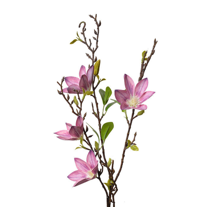 f045dd9a-2b0a-4524-acce-ca37aae42805-vrijstaandbeeld.jpg (10363923) 