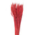 Clayre & Eef Droogbloemen  80 cm Rood Droogbloemen Droogboeket
