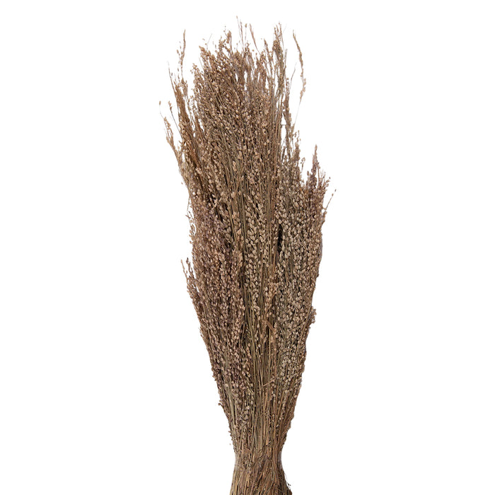 Clayre & Eef Droogbloemen  55 cm Beige Droogbloemen Droogboeket