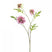 Fleurdirect Kunstbloem Scabiosa - Roze - Kunststof - 0x62x0cm (BxHxD)