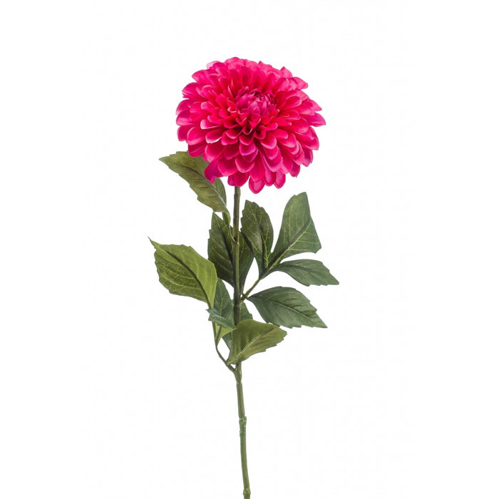 7a971381-daae-4e8e-8945-f762642d5434-vrijstaandbeeld.jpg (10370010) 