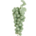 Light & Living - Ornament GRAPE - 15x13x35cm - Groen
