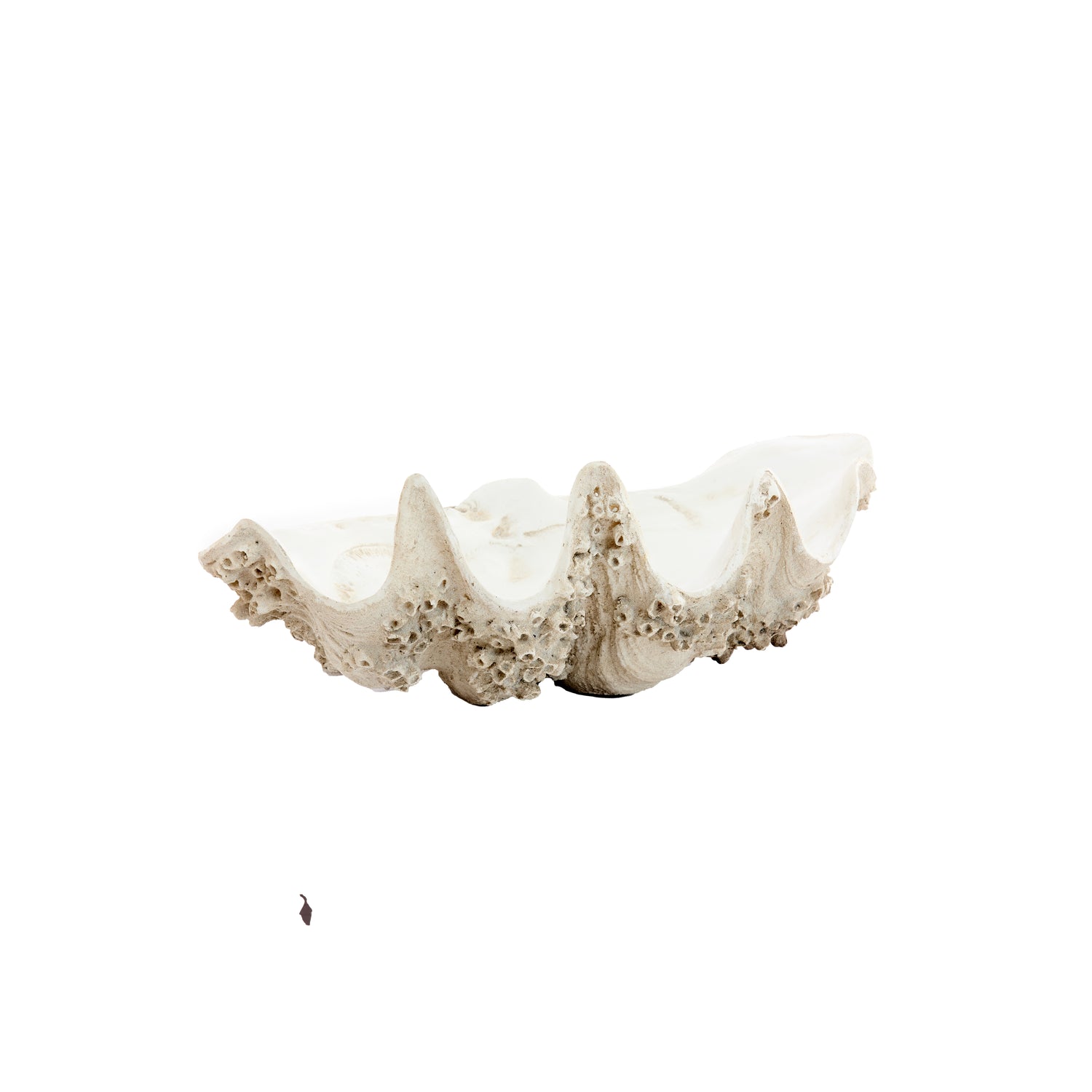 Light & Living - Ornament SHELL - 52x28x18cm - Bruin