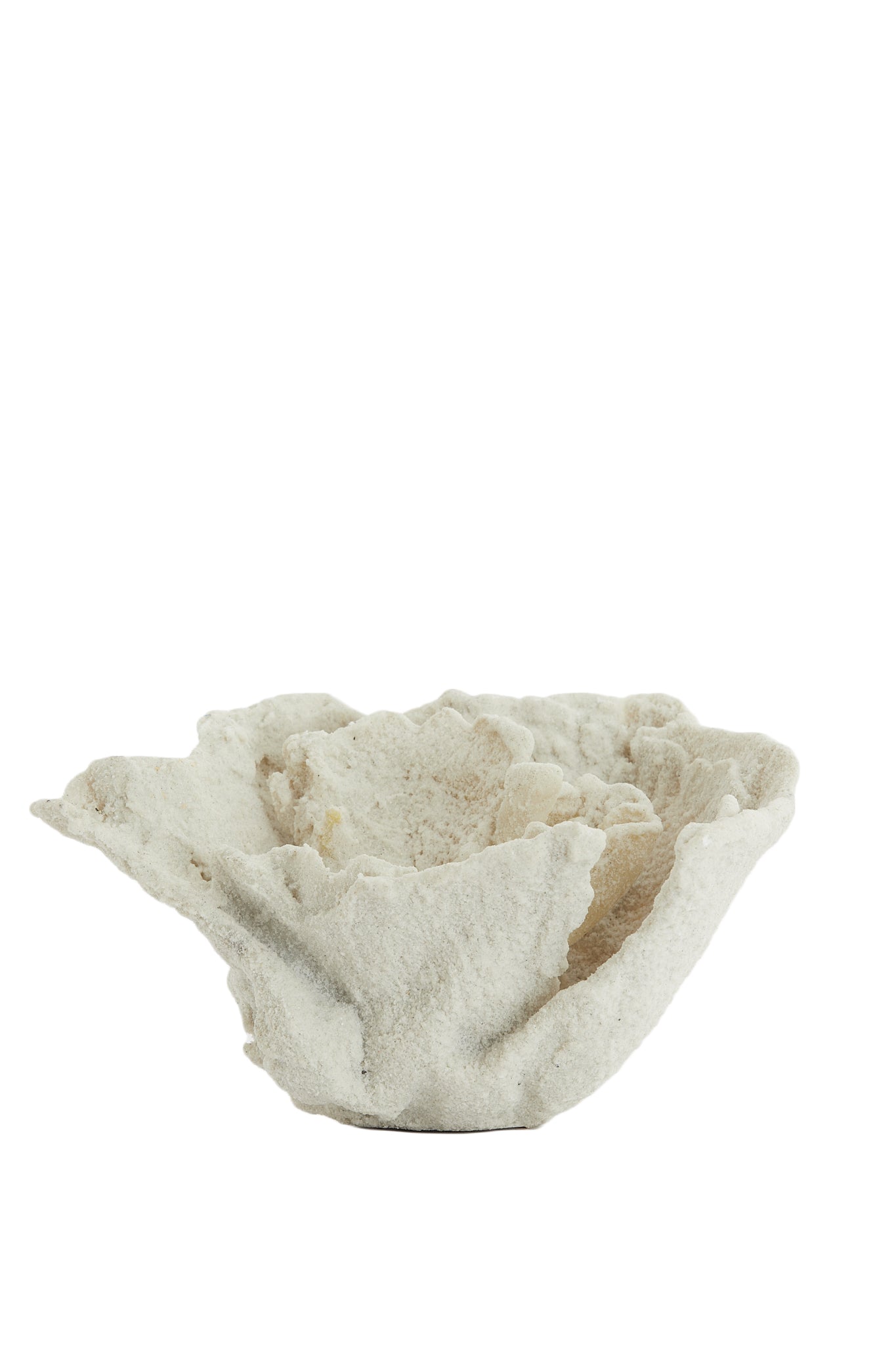 Light & Living - Ornament CORAL - 23x16x13cm - Wit