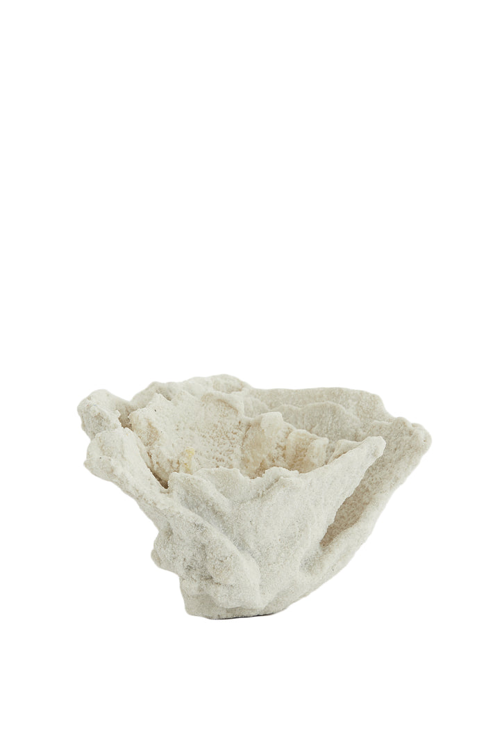 Light & Living - Ornament CORAL - 23x16x13cm - Wit