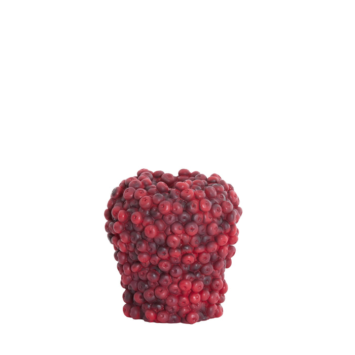 Light & Living - Vaas BERRIES - Ø20x20.5cm - Rood