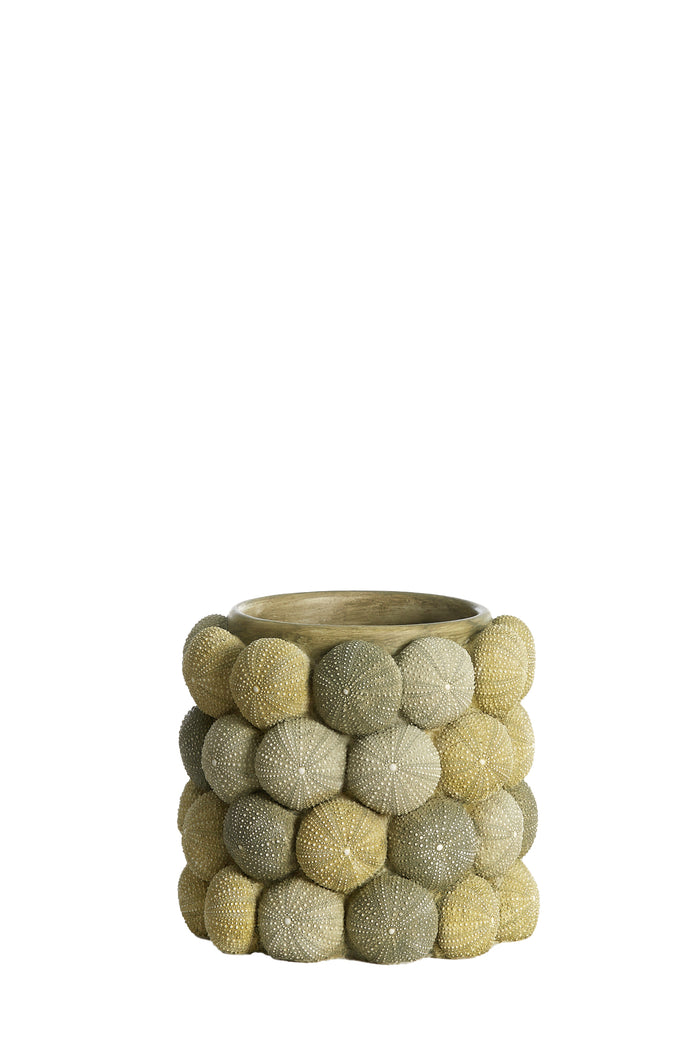 Light & Living - Vaas SEA URCHIN - Ø20.5x18cm - Groen