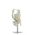 Light & Living - Ornament CRAB - 23x12.5x42.5cm - Wit