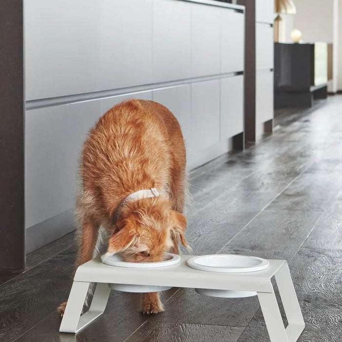 MiaCara Desco hondenvoerbak porselein small essen zwart