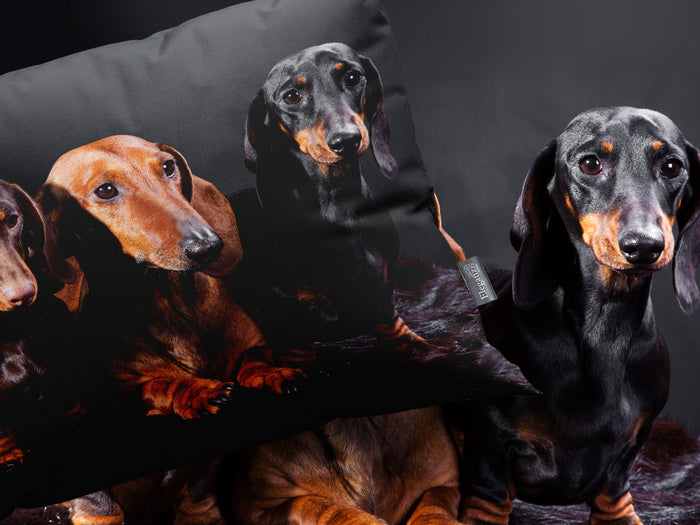 Eleganzzz Dekbedovertrek Micropercal Teckels - black