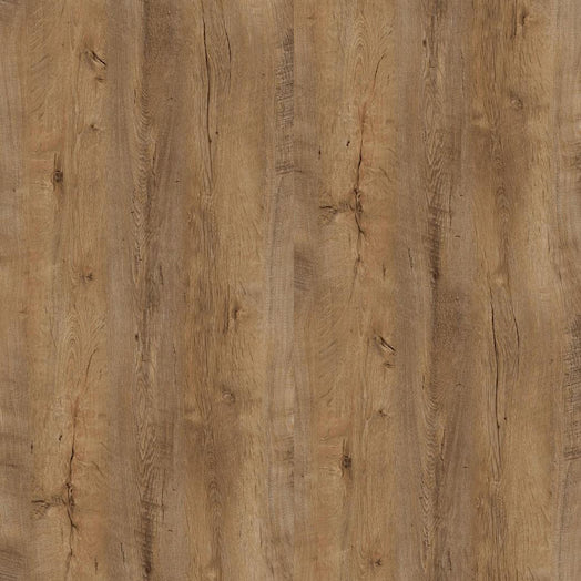 eb614750-b031-418c-81c8-8aeb5041b9d9-afbeelding5.jpg (10397179) 