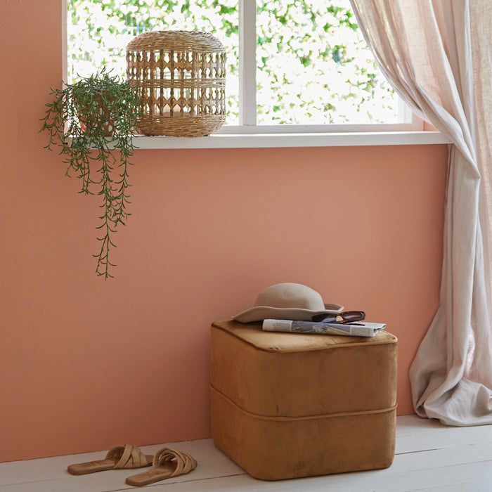 4cf9c244-2d35-46fe-b378-1db9922e7bb3-afbeelding5.jpg (10410045) 