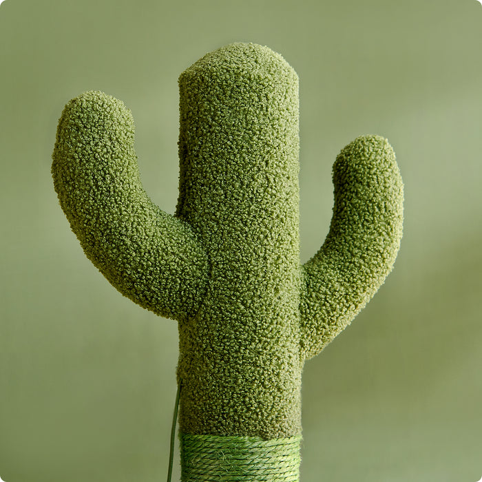 Krabpaal - cactus - 75 cm - groen