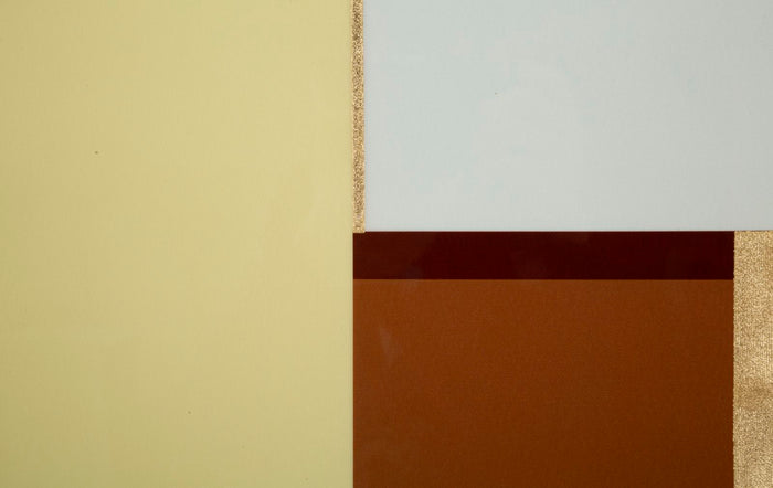Print op gelakt canvas met acryl frame cm 60x3,3x80