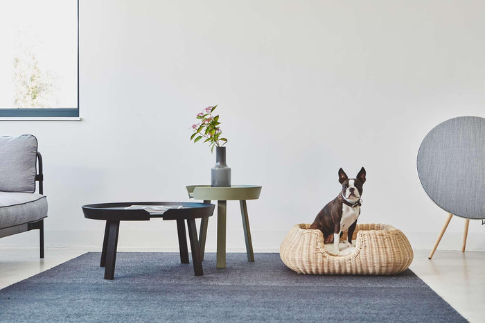 c29909ef-f7d6-4362-94c3-6f32e927f3c7-afbeelding8.jpg (10434525) 